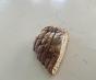 thumbnail image 1