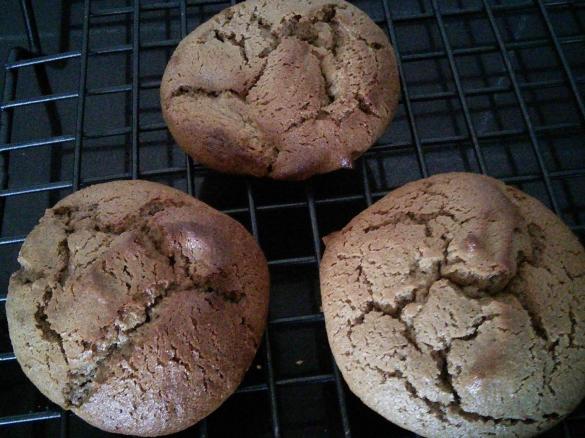 Sugar & Gluten free biscuits