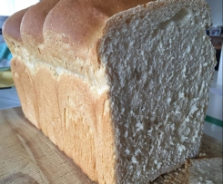 Soft & fluffy (wheat-free) spelt bread