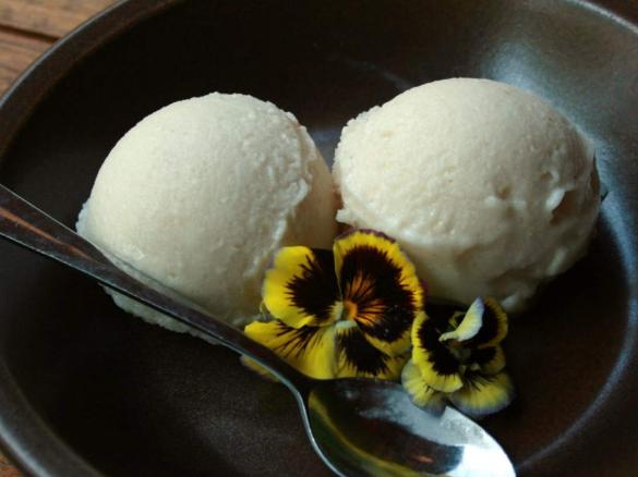 Raw Coconut IceCream