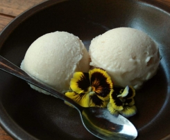 Raw Coconut IceCream
