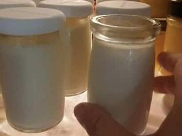 Thermomix Nan Pot Set Yogurt in jars