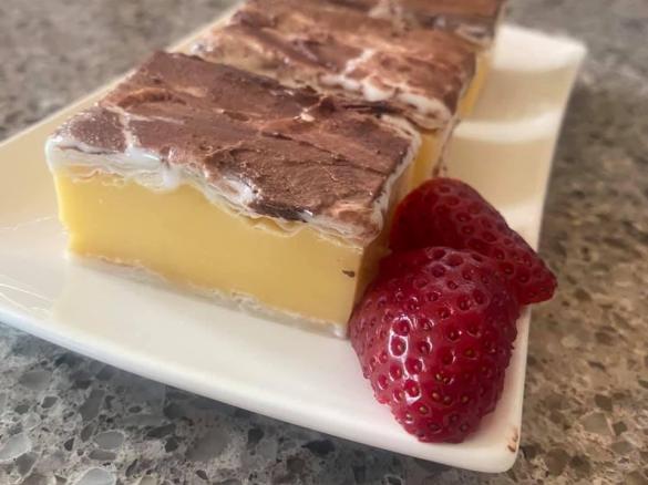 Janine's Vanilla Slice - Thermie and Friends