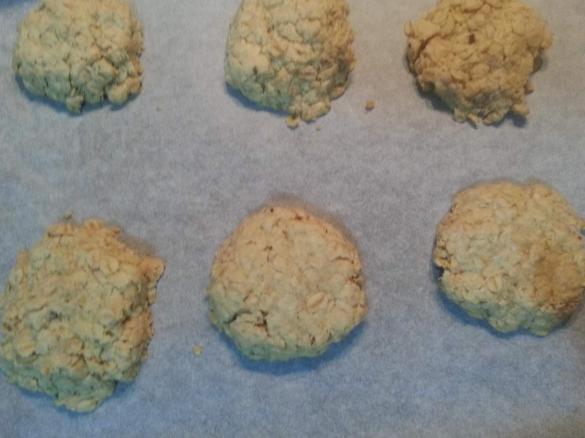 Yummie ANZAC Bikkies