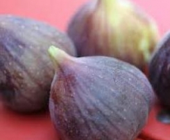 Middle Eastern Fig Sorbet