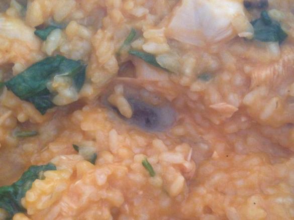 Apricot Chicken Risotto