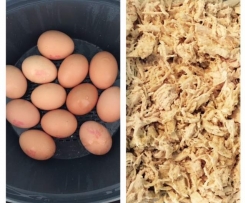 Boiled eggs and perfect shredded chicken