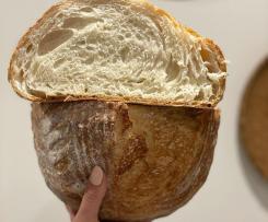 5 hours Dutch oven Bread