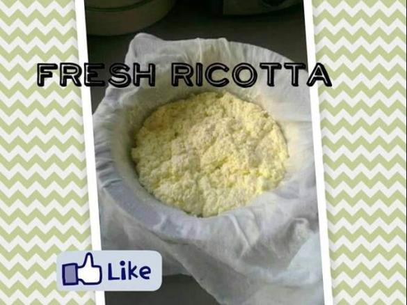 Fresh Ricotta