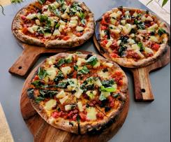 THERMOMUMMA PIZZA DOUGH