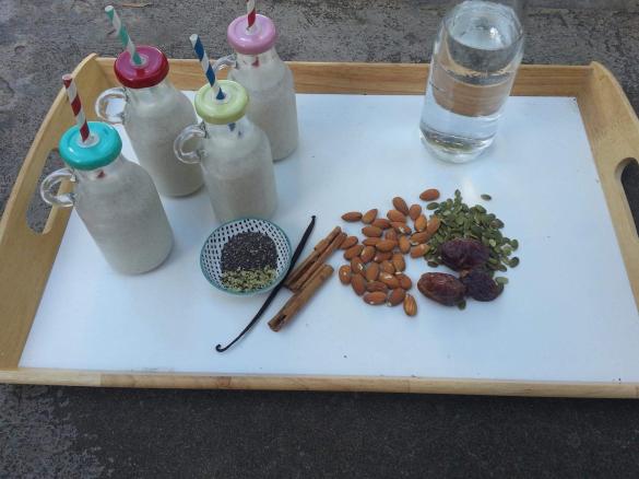 Nut, Seed and Vanilla Mylk Smoothie