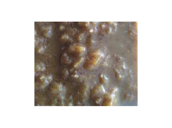 Papaw Chutney (Low FODMAPS, gluten free)