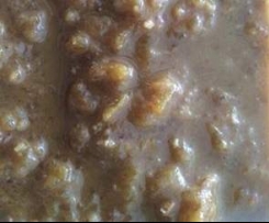 Papaw Chutney (Low FODMAPS, gluten free)