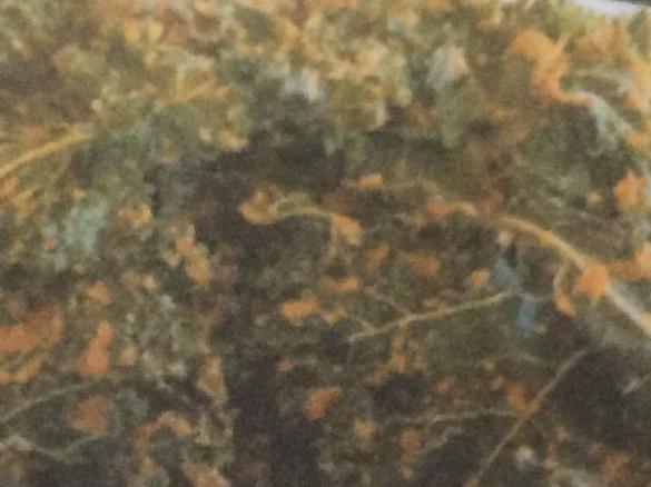 Red Capsicum Kale Chips