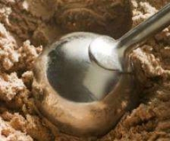 Maple Butter Pecan Ice Cream