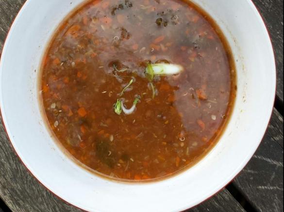 Tomato and Brown Lentil Soup