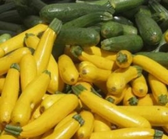 Clone of Cheesy zucchini and mint risotto  FODMAP friendly