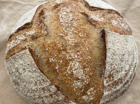Sourdough