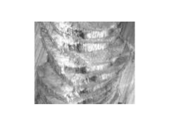 Roast Beef with Brown Onion Gravy