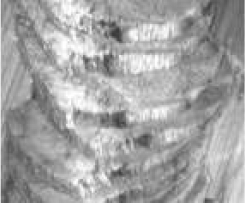 Roast Beef with Brown Onion Gravy