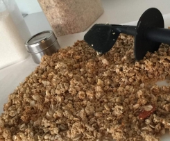 Carmen's Muesli My Way