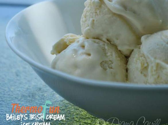 Baileys Ice Cream - ThermoFun