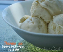 Baileys Ice Cream - ThermoFun