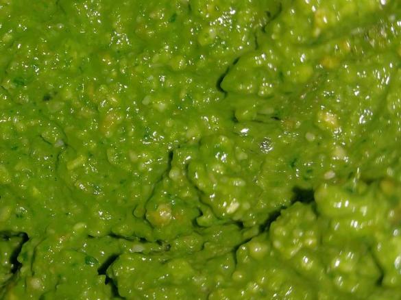 Nushi's Thai Basil and Spinach Pesto