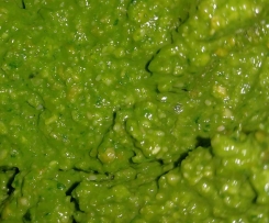 Nushi's Thai Basil and Spinach Pesto