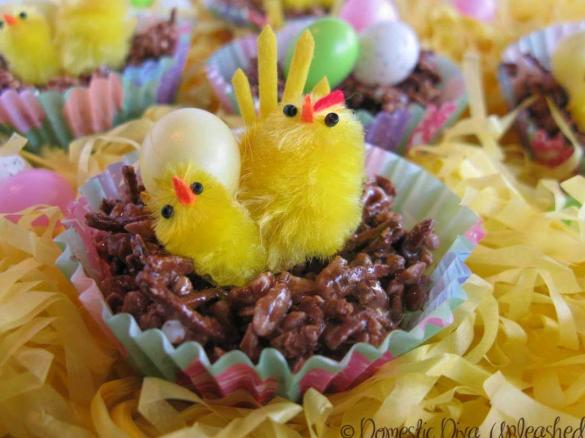 Easter Chicks on a Muesli Bar Nest - Failsafe