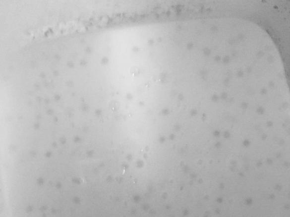 Vegan Tapioca Pudding