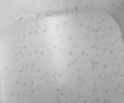 Vegan Tapioca Pudding