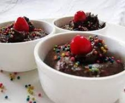 YoGo Chocolate Custard 