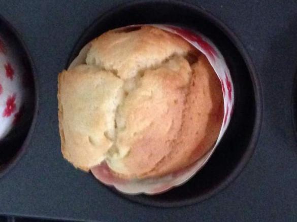 JoJo's Amazing Cupcakes!