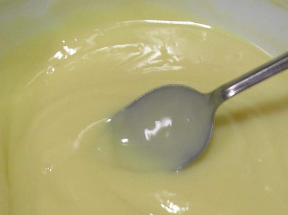 Fructose-Free Custard