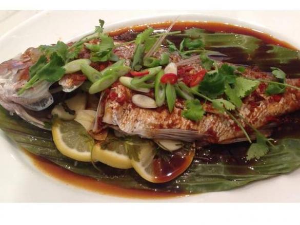 Varoma Snapper with Asian flavoured sauce
