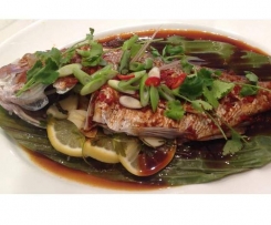 Varoma Snapper with Asian flavoured sauce