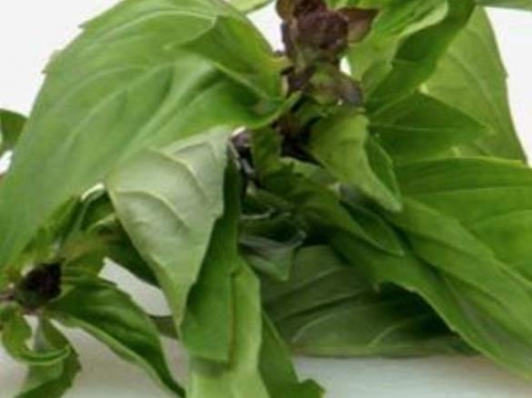 South-East Asian Chicken Curry