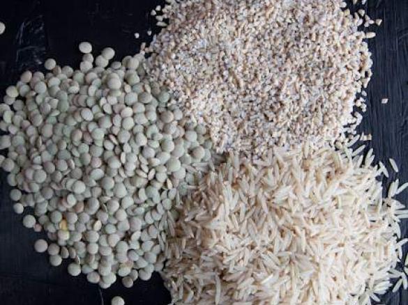 Homemade Protein Powder