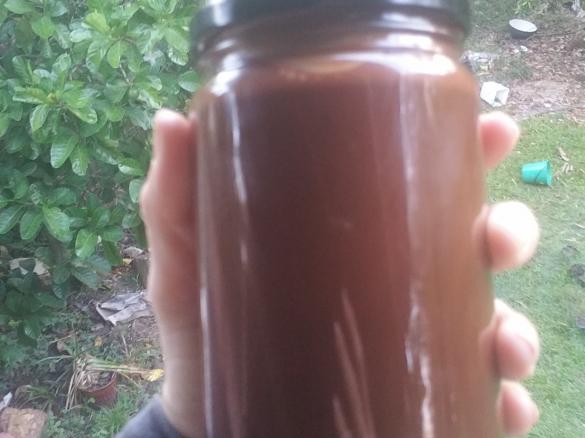 Choc Topping- Paleo or not