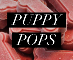 Strawberry & Banana Smoothie Puppy Pops