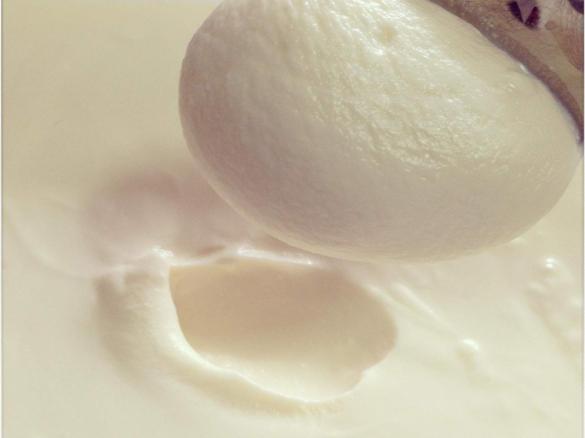 Thermonic thick and creamy vanilla yoghurt. TM5 Automated Setting.