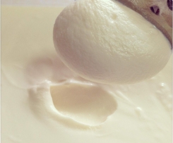 Thermonic thick and creamy vanilla yoghurt. TM5 Automated Setting.