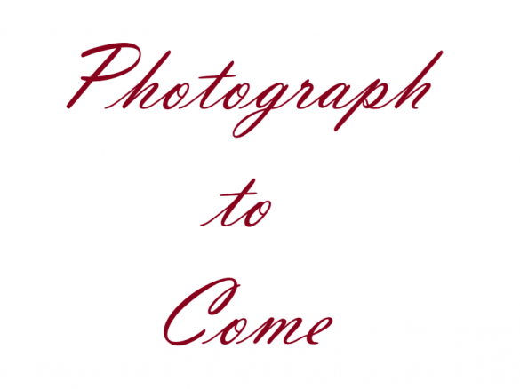 White Chocolate Cheesecake with Raspberry Coulis