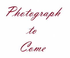 White Chocolate Cheesecake with Raspberry Coulis