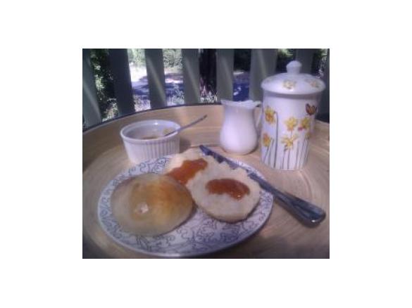 Variation of Apricot Jam