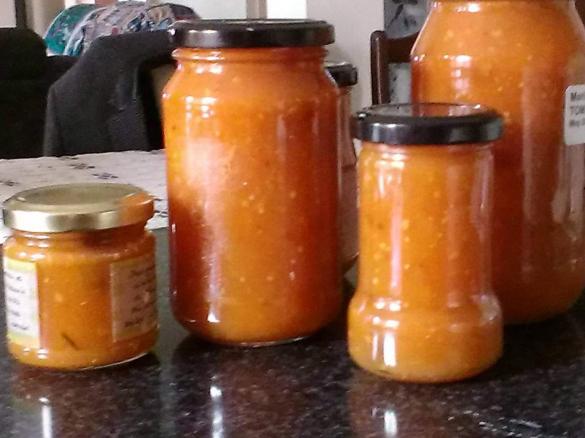 Clone of Nanna's Tomato Relish - TM5
