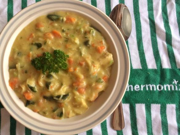 Chicken, noodle and vegetable soup