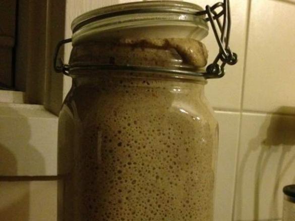 Sourdough Starter