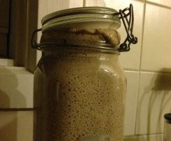 Sourdough Starter
